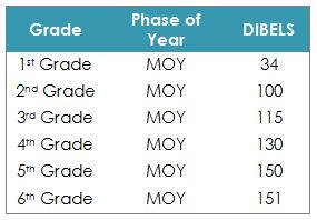 MOY Dibels Benchmarks 