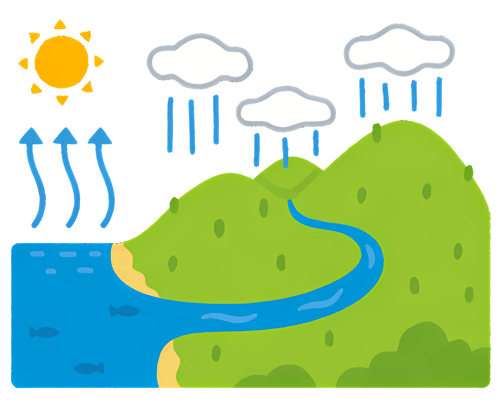 Illustration of the water cycle on Earth.